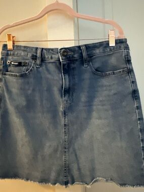 Dkny womans Washed Blue Denim Skirt-Style Jeans